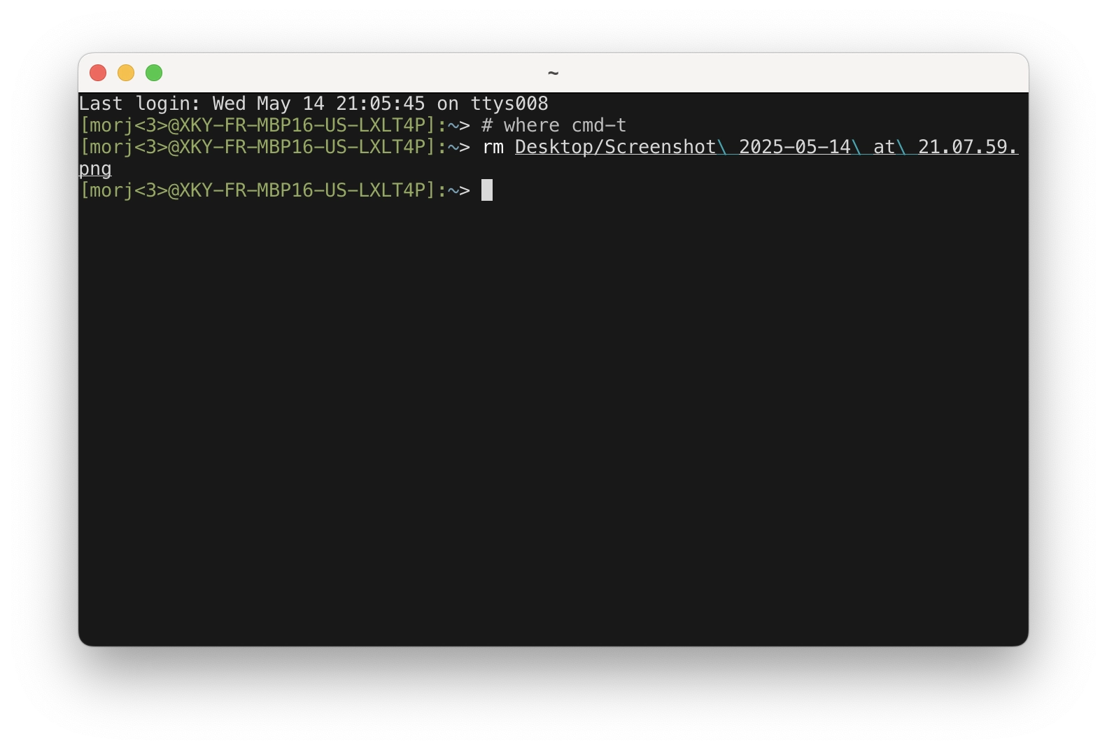screenshot of alacritty